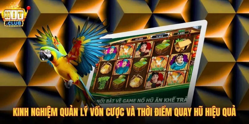 kinh-nghiem-quan-ly-von-cuoc-va-thoi-diem-quay-hu-hieu-qua kinh-nghiem-quan-ly-von-cuoc-va-thoi-diem-quay-hu-hieu-qua