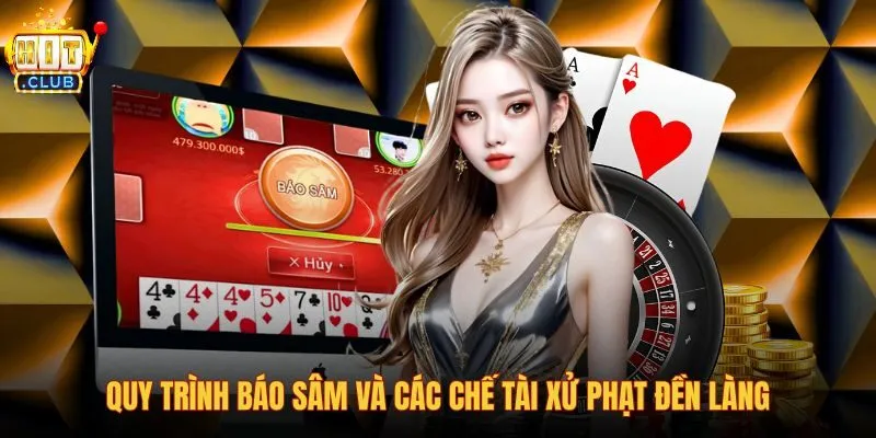 quy-trinh-bao-sam-va-cac-che-tai-xu-phat-den-lang quy-trinh-bao-sam-va-cac-che-tai-xu-phat-den-lang